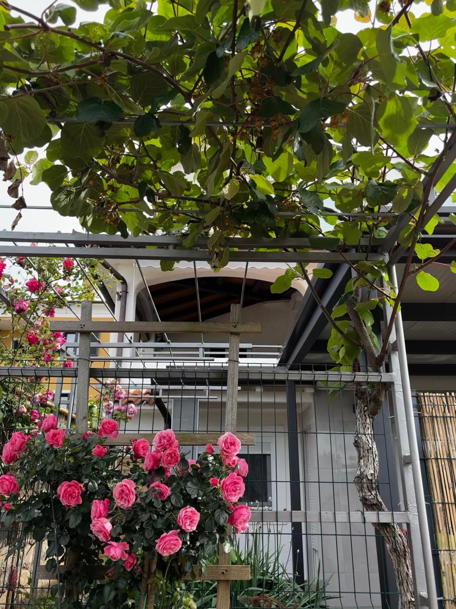 Apartmani Rozi Umag Zewnętrze zdjęcie